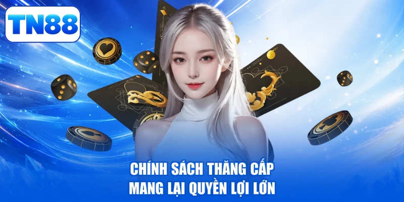 AG Live Casino TN88 - Thưởng Tiền Đỉnh, Rinh Quà Xịn 4 Chính sách thăng cấp mang lại quyền lợi lớn